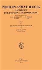 John W Kelly, John W. Kelly - The Metachromatic Reaction