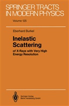 Eberhard Burkel - Inelastic Scattering of X-Rays with Very High Energy Resolution