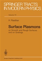 Heinz Raether - Surface Plasmons on Smooth and Rough Surfaces and on Gratings