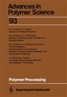 Michael L. Fridman, Michae L Fridman, Michael L Fridman - Polymer Processing