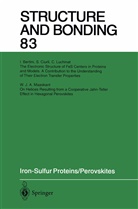 Iron-Sulfur Proteins Perovskites