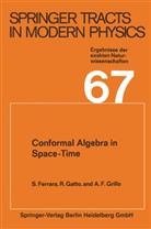 Ferrara, S Ferrara, S. Ferrara, Gatto, R Gatto, R. Gatto... - Conformal Algebra in Space-Time and Operator Product Expansion