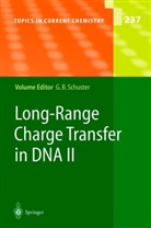 Gar B Schuster, Gary B Schuster, Gary B. Schuster - Long-Range Charge Transfer in DNA II