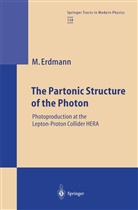 Martin Erdmann, A Niekisch, E A Niekisch - The Partonic Structure of the Photon