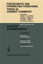 Kendall Houk, Kendall N Houk, Kendall N. Houk, Christopher Hunter, Christopher A Hunter, Christopher A. Hunter... - Reactive Intermediates