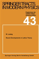 W Ludwig, W. Ludwig - Recent Developments in Lattice Theory