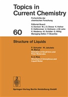 Kendall Houk, Kendall N Houk, Kendall N. Houk, Christopher Hunter, Christopher A Hunter, Christopher A. Hunter... - Structure of Liquids