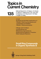 de Meijere, A de Meijere, A. de Meijere - Small Ring Compounds in Organic Synthesis II