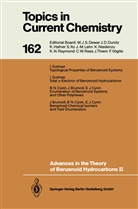 Iva Gutman, Ivan Gutman - Advances in the Theory of Benzenoid Hydrocarbons II