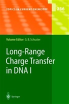 Gar B Schuster, Gary B Schuster, Gary B. Schuster - Long-Range Charge Transfer in DNA I