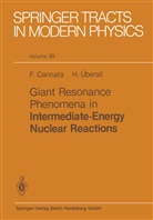 Cannata, F Cannata, F. Cannata, H Überall, H. Überall - Giant Resonance Phenomena in Intermediate Energy Nuclear Reactions