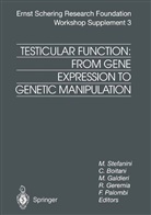 Carl Boitani, Carla Boitani, Michaela Galdieri, Michaela Galdieri et al, Raffaele Geremia, Fioretta Palombi... - Testicular Function: From Gene Expression to Genetic Manipulation