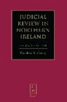 Gordon Anthony, Gordon (Queen's University Anthony - Judicial Review in Northern Ireland