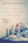 Amit Chaudhuri - Strange and Sublime Address