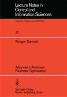 R Schmidt, R. Schmidt - Advances in Nonlinear Parameter Optimization