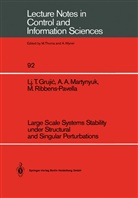 Ljubomir Grujic, Ljubomir T Grujic, Ljubomir T. Grujic, A Martynyuk, A a Martynyuk, A. A. Martynyuk... - Large Scale Systems Stability under Structural and Singular Perturbations