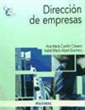 Isabel María Abad Guerrero, Ana María Castillo Clavero - Dirección de empresas