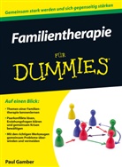 Paul Gamber - Familientherapie für Dummies