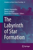 Simo Goodwin, Simon Goodwin, Dimitris Stamatellos, Derek Ward-Thompson - The Labyrinth of Star Formation