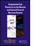 Esperanza Meléndez (EDT)/ Phillips-farfán Herrera, Esperanza Melendez Phillips-Farfan Herrera, Esperanza Melendez Herrera, Esperanza Meléndez Herrera, Herrera Esperanza Melendez, Gabriel Gutierrez Ospina... - Endothelial Cell Plasticity in the Normal and Injured Central