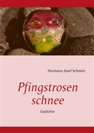 Hermann Josef Schmitz - Pfingstrosenschnee