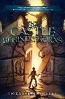 Merrie Haskell - The Castle Behind Thorns