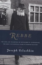 Joseph Telushkin, Rabbi Joseph Telushkin - Rebbe