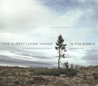 Hans Ulrich Obrist, Hans-Ulrich Obrist, Rachel Sussman, Rachel/ Zimmer Sussman, Carl Zimmer - The Oldest Living Things in the World