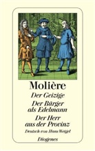 Molière - Der Geizige / Der Bürger als Edelmann / Der Herr aus der Provinz