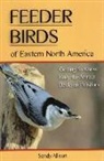 Sandy Allison, Amelia Hansen - Feeder Birds of Eastern North America