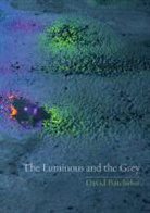 David Batchelor, Batchelor David - Luminous and the Grey
