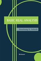 Houshang H Sohrab, Houshang H. Sohrab - Basic Real Analysis
