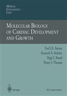 Paul J. R. Barton, Paul J.R. Barton, Kenneth R. Boheler, Nigel J. Brand, Nigel J Brand et al, Kennet R Boheler... - Molecular Biology of Cardiac Development and Growth
