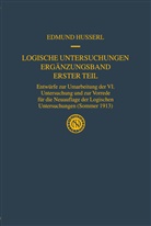 Edmund Husserl, Ullric Melle, Ullrich Melle - Logische Untersuchungen Ergänzungsband Erster Teil