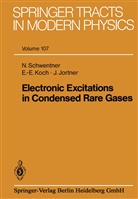Jortner, Joshua Jortner, Ernst-Eckhar Koch, Ernst-Eckhard Koch, Nikolau Schwentner, Nikolaus Schwentner - Electronic Excitations in Condensed Rare Gases
