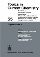 Dietric Döpp, Dietrich Döpp, Heinz Dürr, Urs Wild, Urs P Wild, Urs P. Wild - Triplet States II