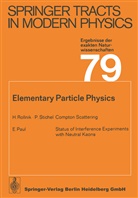 Elementary Particle Physics