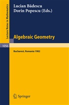 Badescu, L Badescu, L. Badescu, Popescu, Popescu, D. Popescu - Algebraic Geometry