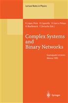 Riccard Capovilla, Riccardo Capovilla, Ricardo Garcia-Pelayo, Ricardo Garcia-Pelayo et al, Ramon Lopez-Pena, Henri Waelbroeck... - Complex Systems and Binary Networks
