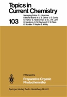 P Margaretha, P. Margaretha, J. -M. Lehn, J.-M. Lehn, -M Lehn, J -M Lehn - Preparative Organic Photochemistry