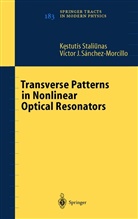 V J Sánchez-Morcillo, V. J. Sánchez-Morcillo, V.J. Sánchez-Morcillo, Kestuti Staliunas, Kestutis Staliunas - Transverse Patterns in Nonlinear Optical Resonators
