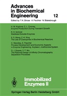 Shimshon Belkin, Shimshon et al Belkin, Isao Endo, Man Bock Gu, Wei Shou Hu, Bo Mattiasson... - Immobilized Enzymes II