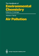 The Handbook of Environmental Chemistry - 4 / 4B: Air Pollution