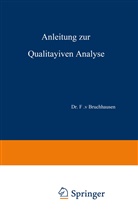 F v Bruchhausen, F. V. Bruchhausen, Gadamer, J Gadamer, J. Gadamer, Schmidt... - Anleitung zur Qualitativen Analyse