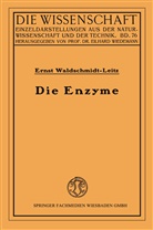 Ernst Waldschmidt-Leitz - Die Enzyme