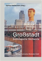 Hartmu Häussermann, Hartmut Häußermann - Großstadt