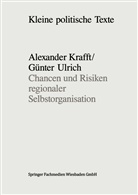 Alexander Krafft - Chancen und Risiken regionaler Selbstorganisation