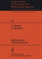 Gessner, P Gessner, P. Gessner, K Spremann, K. Spremann - Optimierung in Funktionenräumen