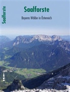 Hermann Hinterstoisser, Nikolaus Hinterstoisser, Alfred Höck, Fritz Koller, Johannes Lang, Mayrhofer Hermann... - Saalforste