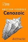 Natural History Museum, Natural History Museum London - British Caenozoic Fossils